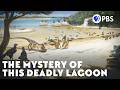 The Lagoon That Puzzled Paleontologists For 250 Years