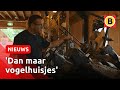Coronacrisis treft ook de klompenmakers | Omroep Brabant