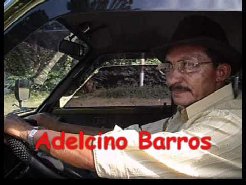 GANGORRA DO AMOR - ADELCINO BARROS.wmv