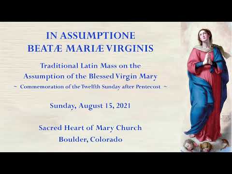 IN ASSUMPTIONE BEATAE MARIAE VIRGINIS