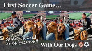 San Jose Vlog | Gamja & Chip’s First Soccer Game 🐾 | Seeing Sonny Score Live!