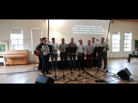 Dincolo de zare este Tara mea, Grupul de frati A&O Londra