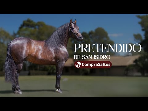 Pretendido de San Isidro | CompraSaltos