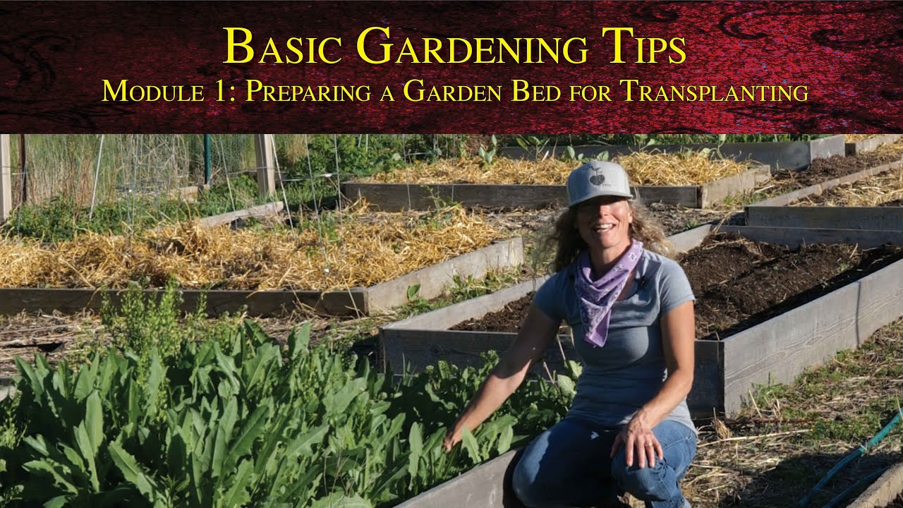 Basic Gardening Tips - Module 1: Selecting and preparing a garden bed for transplanting