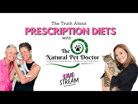 Prescription Diets for Cats - What You Need To Know