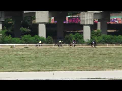 22.5.2022 I Trka - SONNY SANTINO - Hipodrom Beograd