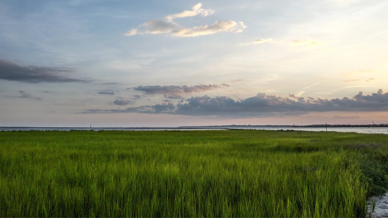 Interdisciplinary Applied Data Analytics (IADA) Graduate Certificate Program