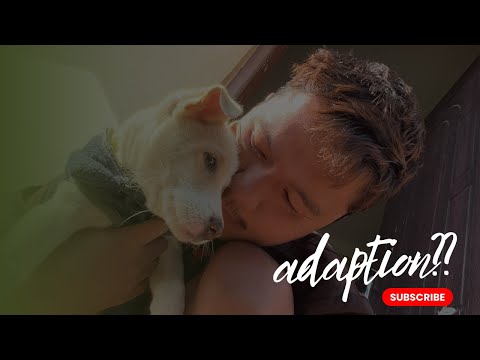 Dodu lai adoptionma rakhda naramro feel bhayo 🥺 / kasale lagyo ta dodu lai ? / hetauda lagiyo 😜