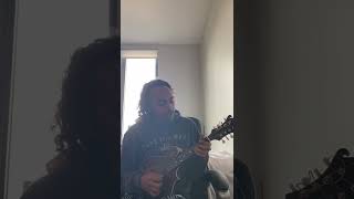 New Orleans - Trampled by Turtles