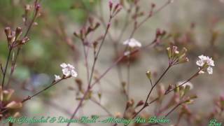 Art Garfunkel &amp; Diana Krall - Morning Has Broken - Baz