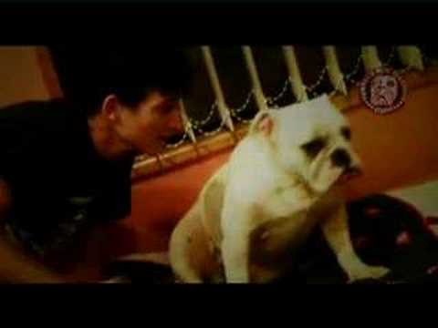 The Rabble Webisode No. 03 - In The Studio 'Mind Ghetto' demo