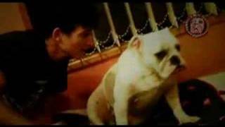 The Rabble Webisode No. 03 - In The Studio &#39;Mind Ghetto&#39; demo