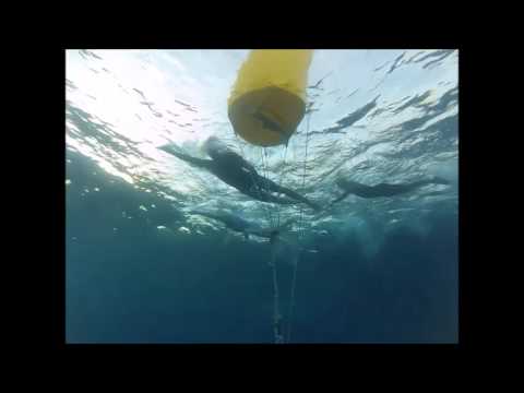 25th Alanya World Cup triathlon 2015