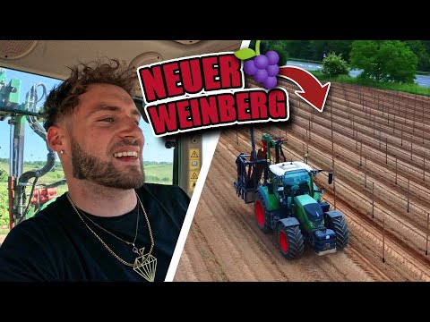 Wie ein neuer WEINBERG entsteht 🍇🌱🍷 PFÄHLE setzen mit GPS