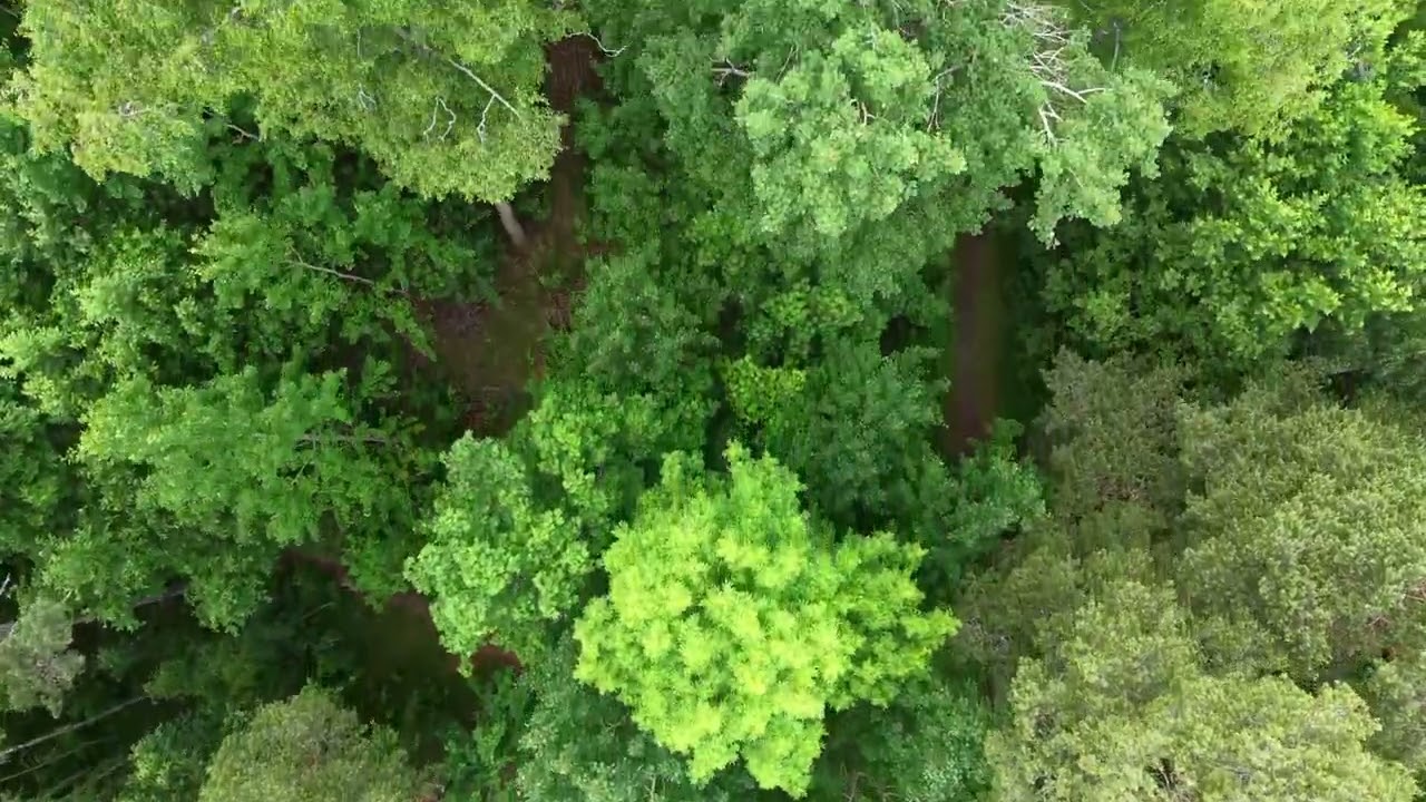 Gård/skog på Hjortsberga 101 Kumla kommun - video