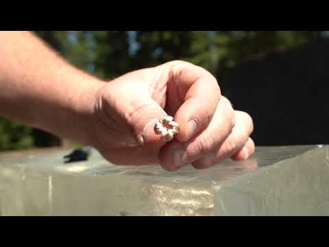 Barnes LRX 127 Grain Bullet - Gel Block Bullet Performance Video