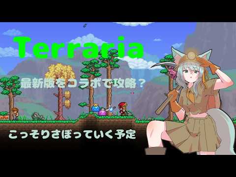 【Terraria】 久々テラリア眠狐鯖コラボ!ファーム回 part2.1【バ美肉(地声)】【星乃眠狐】
