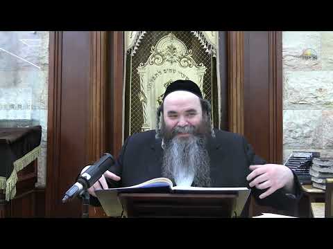וויאזוי ביישטיין נסיונות