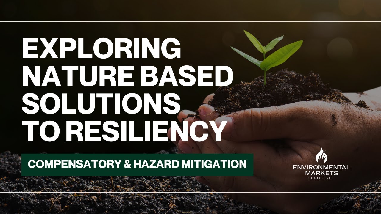 Exploring Nature Based Solutions to Resiliency: Compensatory & Hazard Mitigation