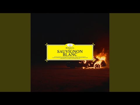 Sauvignon Blanc (Instrumental)
