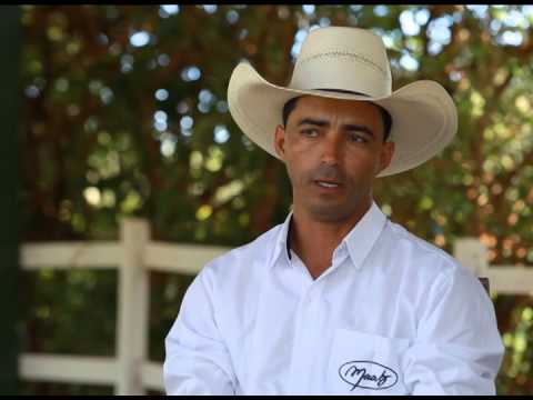 HARAS E RAÇAS - HARAS MULA PRETA (SEGUNDA-FEIRA)