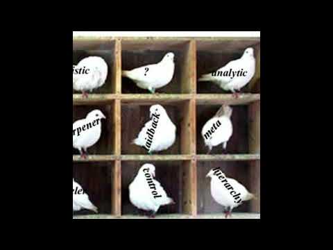 Ned Bundy - Birds Ain't Real (Prod. BOZ)