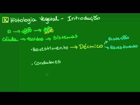 Introdução aos tecidos vegetais - Botânica - Biologia