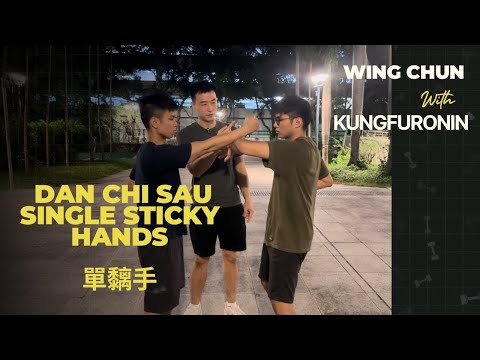 Wing chun Dan Chi sau - single sticky hands 詠春單黐手