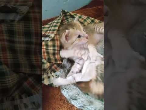 Masha allah ☺😻❣🥰💜