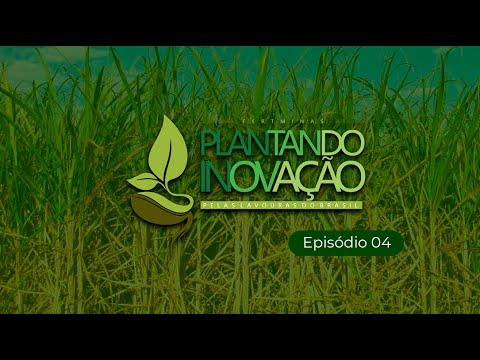 Plantando Inovação pelas Lavouras do Brasil - Episódio 04 - Canavial – Limeira do Oeste – MG