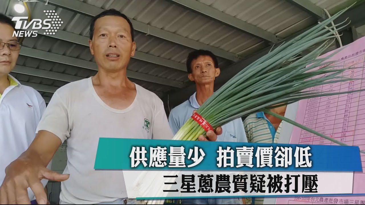 供應量少拍賣價卻低 三星蔥農質疑被打壓
