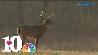 New online tools available to help document, track and manage spread of CWD in wildlife