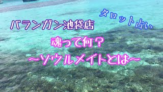 サンプル動画