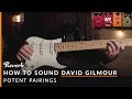 How To Sound Like David Gilmour of Pink Floyd Using Pedals | Reverb Potent Pairings