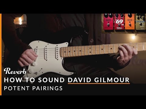 How To Sound Like David Gilmour of Pink Floyd Using Pedals | Reverb Potent Pairings