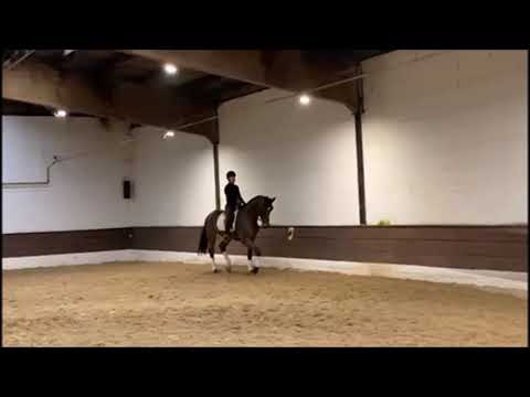 BIG BEN 5j. v. Buckingham - Bonifatius VB 15.000,- Euro