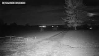 AMS event #7269-2025 caught from Columbia City US