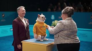 WOW! Best In Internet