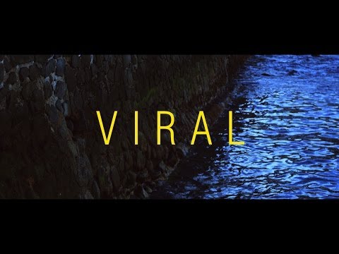 Jau - Viral (part. Saulo)