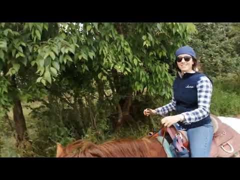 Domenica  16 maggio 2021