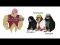 Naruto Memes Part 11