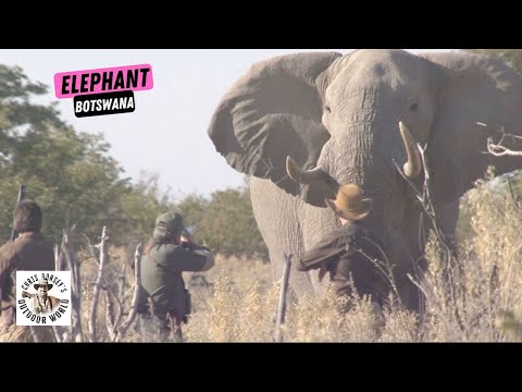Point Blank Shot on a Huge Elephant