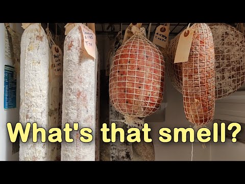 R&R EP3 - Why does my salami chamber/cheese cave smell like urine?