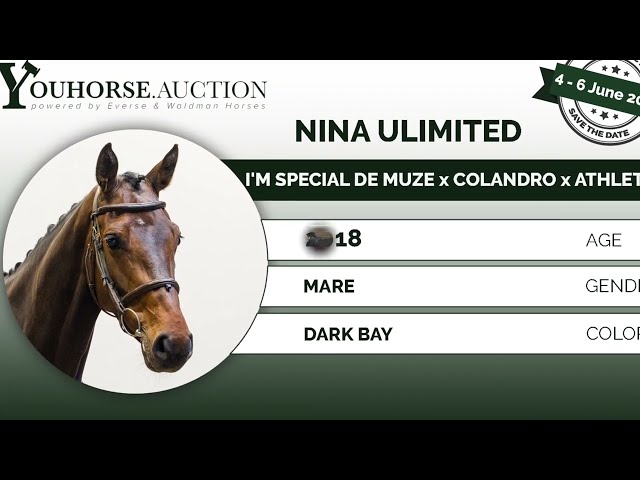 Nina Unlimited