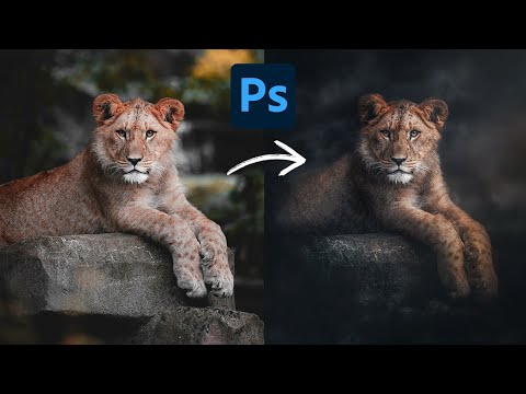 Transform Ordinary Photos Into Dark Moody Masterpieces