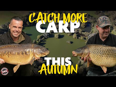 CATCH MORE CARP THIS AUTUMN | DNA BAITS | CARP FISHING | EAST DELPH | LEE MORRIS | VINNY PRITCHARD