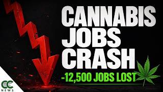 Download lagu 📉 Cannabis Industry Jobs Fall for the First Time in History mp3