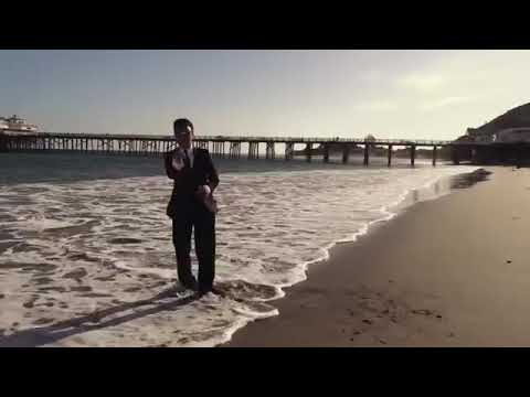 مهردادنیویورک