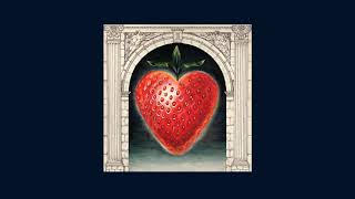 Saintseneca - "Circle Hymn" (Full Album Stream)