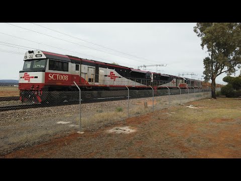 SCT008 + SCT013 + CSR015